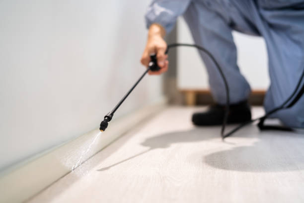 Licensed Pest Control service in Camp Barrett, VA - Show Me Pest Control