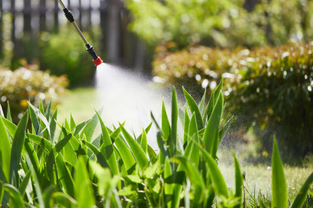 24/7 Emergency Wasp Removal experts in Camp Barrett, VA
