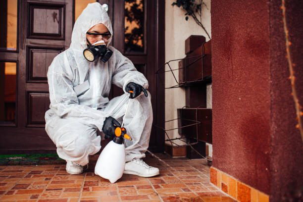 Reliable Wasp Removal contractor in Camp Barrett, VA by Show Me Pest Control