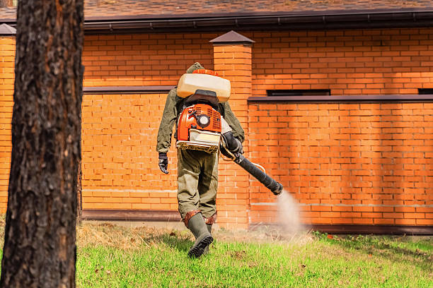 Top rated local Wasp Removal specialists in Camp Barrett, VA